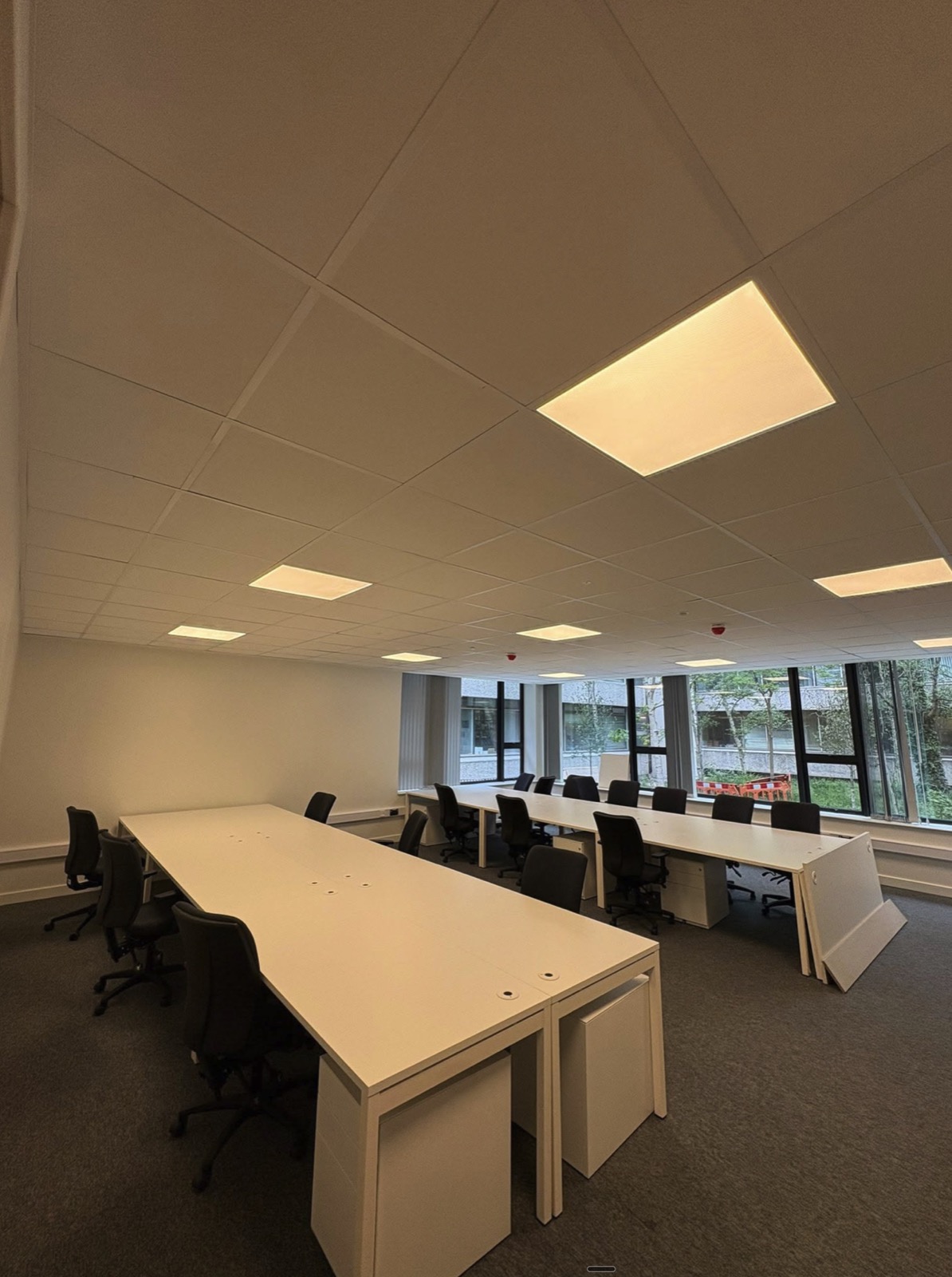 Completed UCD Newman open office with ceiling grid and lighting