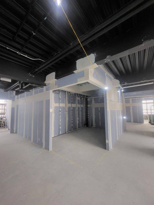 Newman Building, UCD project photo 4