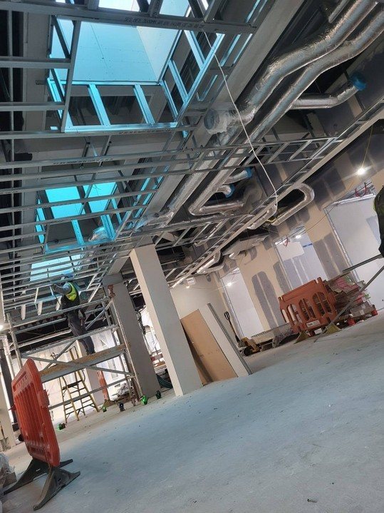 Newman Building, UCD project photo 6